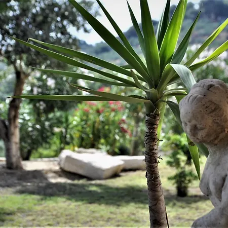 Belvedere - Panoramic Sea View Apts Vasilikí