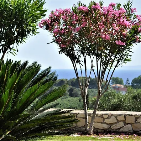 Belvedere - Panoramic Sea View Apts * Vasilikí