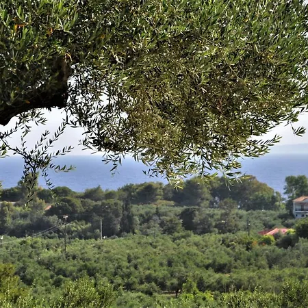 Belvedere - Panoramic Sea View Apts Apartment *